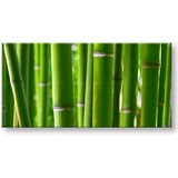  Slike na platnu biljke panorama (moderne slike na platnu) | ePonuda.com