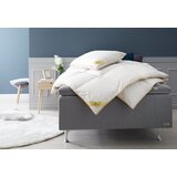 Olimp Sport Jorgan BORG GOLD 135x200 | ePonuda.com