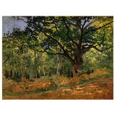 Fedkolor Reprodukcija slike Claude Monet - The Bodmer Oak, Fontainebleau Forest, 70 x 50 cm | shoptok.hr