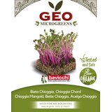 Bavicchi Bio kalčki “Chioggia blitva” - 250 g Cene
