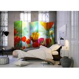 Artgeist PARAVAN 225/172/3 cm večbarvno | Shoptok.si