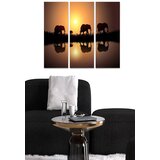 Wallity Set slika MDF3863475, 3 dijela | Eponuda.ba