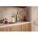 WoodWick Yuzu & Vetiver dišeča sveča z lesenim stenjem 610 g | Shoptok.si