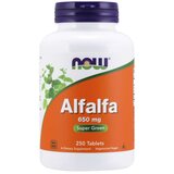 Now Foods alfalfa 650 mg 250 табл