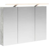  Kopalniška ogledalna omara Betonsko siva 100 x 14,5 x 70 cm, (5000233113) | Shoptok.si