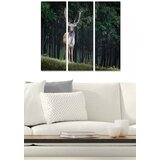 Wallity Set slika MDF984573, 3 dijela | Eponuda.ba