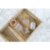 Bo Jungle Fruit Feeder 4v1 Foxy set 1 kos | Shoptok.si