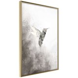  Poster - Hummingbird in Shades of Grey 40x60 | shoptok.hr
