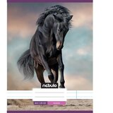 NEBULO Konj v pesku črtasti zvezek 81-32 A/4 | Shoptok.si