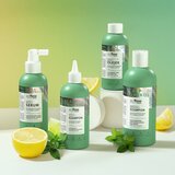 SoFlow Oily Scalp Moisturizing and Regulating Shampoo vlažilni šampon za mastno lasišče 400 ml | Shoptok.si