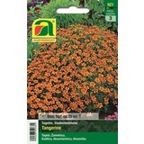 AUSTROSAAT Žametnice "Tangerine" | Shoptok.si