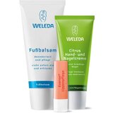 Weleda set od glave do pete Cene