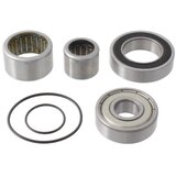 Wag servisni komplet motora bosch gen2 performance/performance cx ( 484122920 ) cene