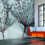  Tapeta - Turquoise dandelion 300x231 Cijene