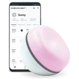 Ambientna lučka Smart Home