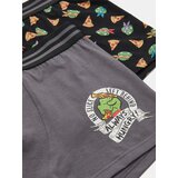 Sinsay Komplet od 2 para bokserica s visokim udjelom pamuka Teenage Mutant Ninja Turtles | shoptok.hr