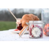 Esschert Design Komplet 8 kozarcev za vlaganje v škatli Ego Dekor Garden, 90 ml | Shoptok.si