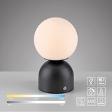 SCHÖNER WOHNEN 19218-18 - LED prigušiva stona lampa RUDI LED/1,2W/5V crna | Eponuda.com