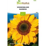 Bionana Bio sončnica "Bambino" Cene