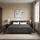  Poletna odeja Antracit 200 x 240 cm Mikrofibra in Teddy flis, (5000284302) | Shoptok.si