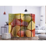 Artgeist Paravan Tasty Fruit Jellies I, 5-Delni, Dvostranski | Shoptok.si