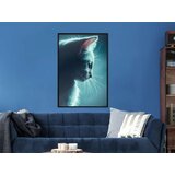  Poster - Adorable Furball 30x45 | shoptok.hr