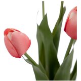 Ixia Umetna rastlina (višina 31 cm) Tulips – | Shoptok.si