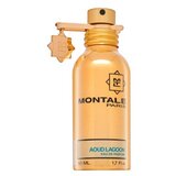 Montale Aoud Lagoon parfumirana voda unisex 50 ml | Shoptok.si
