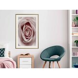  Poster - Rosebud 40x60 | shoptok.hr
