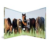 Herma registrator Animals, A4, 70 mm, konji pkhk579jnv2p | Shoptok.si