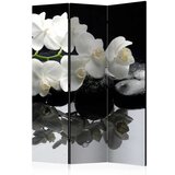  Paravan u 3 dijela - Spa Stones and Orchid [Room Dividers] 135x172 | shoptok.hr