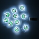 Paladone NIGHTMARE BEFORE CHRISTMAS STRING LIGHTS WITH STICKER | Shoptok.si