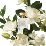 Estée Lauder Aerin Tuberose Gardenia parfemska voda za žene 50 ml | shoptok.hr