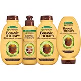 Garnier Botanic Therapy Avocado Beauty Set Cene