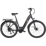 TTGO Električno kolo C7 SE 28” s srednjim pogonom, 250 W, 9 prestav, urbano, sivo, (5000232117) | Shoptok.si
