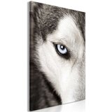  Slika - Dog's Look (1 Part) Vertical 40x60 | shoptok.hr