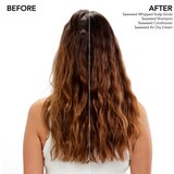 Bumble and Bumble Seaweed Shampoo šampon za kovrčavu kosu s ekstraktima morskih trava 250 ml | shoptok.hr