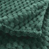 Douceur d intérieur Zelena odeja iz mikroflanele 125x150 cm Mini Frosty – | Shoptok.si