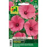 AUSTROSAAT slez "Ruby Regis" | Shoptok.si