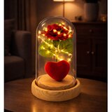 Eternal Rose in Dome with LED Lighting Red with Heart 14x8cm | Shoptok.si