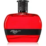Red toaletna voda za muškarce 100 ml