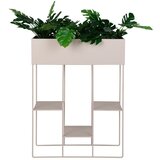 House Nordic Kovinsko stojalo za cvetlične lonce (višina 80 cm) Rabo – | Shoptok.si
