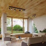  Stropna svetilka OCULARE 4L črna, (21347769) | Shoptok.si