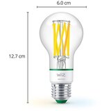 Wiz Sa žarnom niti pametna žarulja E27, 4 W – | shoptok.hr