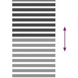 vidaXL idaxl zebra senčilo črna 125x230 cm tkanina širina 120,9 cm poliester | Shoptok.si
