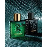 Roberto Cavalli Uomo Verde Assoluto parfemska voda za muškarce 100 ml | shoptok.hr