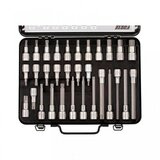 Würth set zebra nasadnih kljuceva 31 komad | ePonuda.com