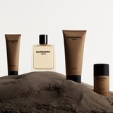 Burberry Hero toaletna voda za muškarce 100 ml | shoptok.hr