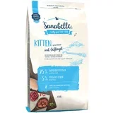 2 kg po super ceni! - Kitten