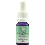 Helping Flowers® nr. 48 beli kostanj Cene